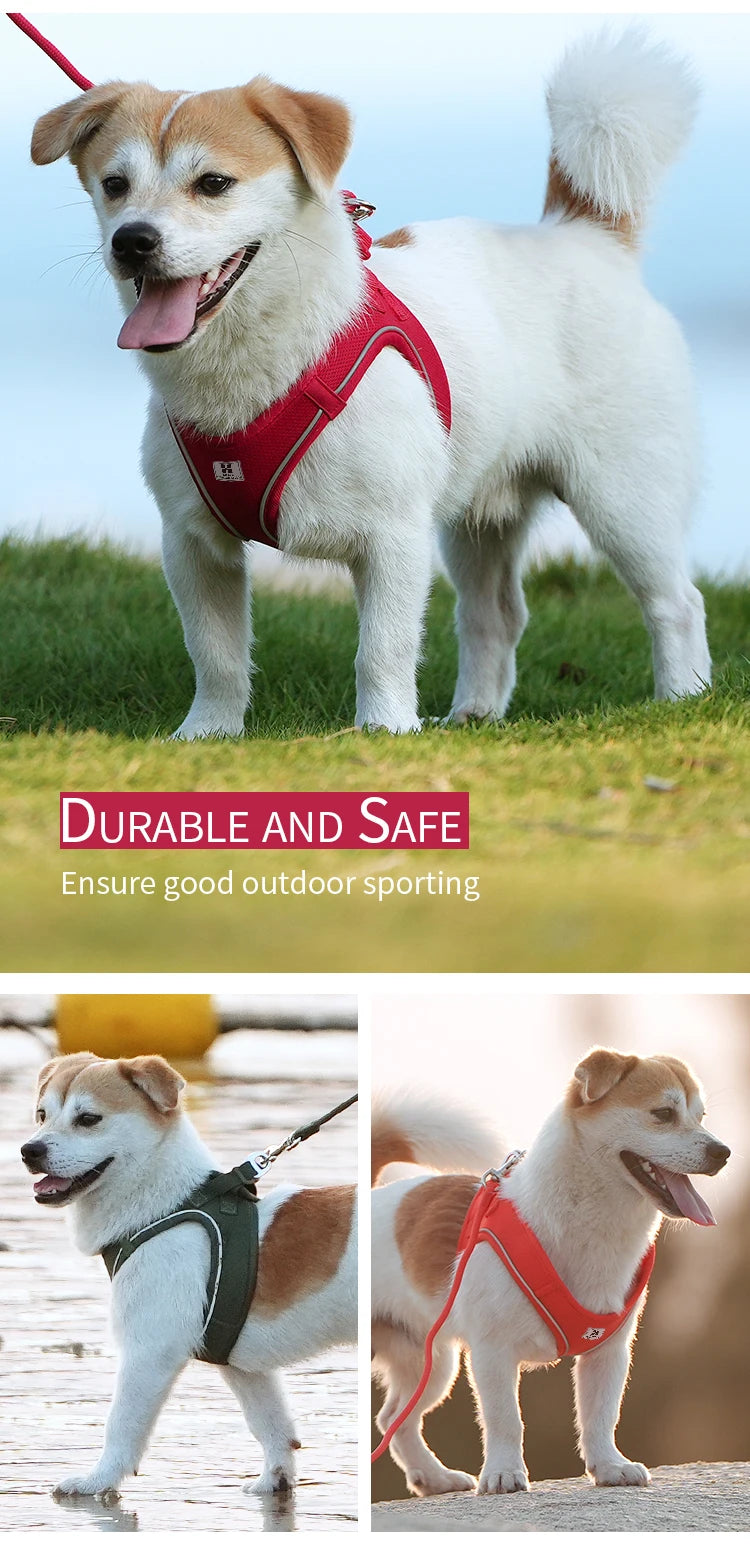 Adjustable Reflective Dog Harness & Leash Set – For Small to Medium Pets