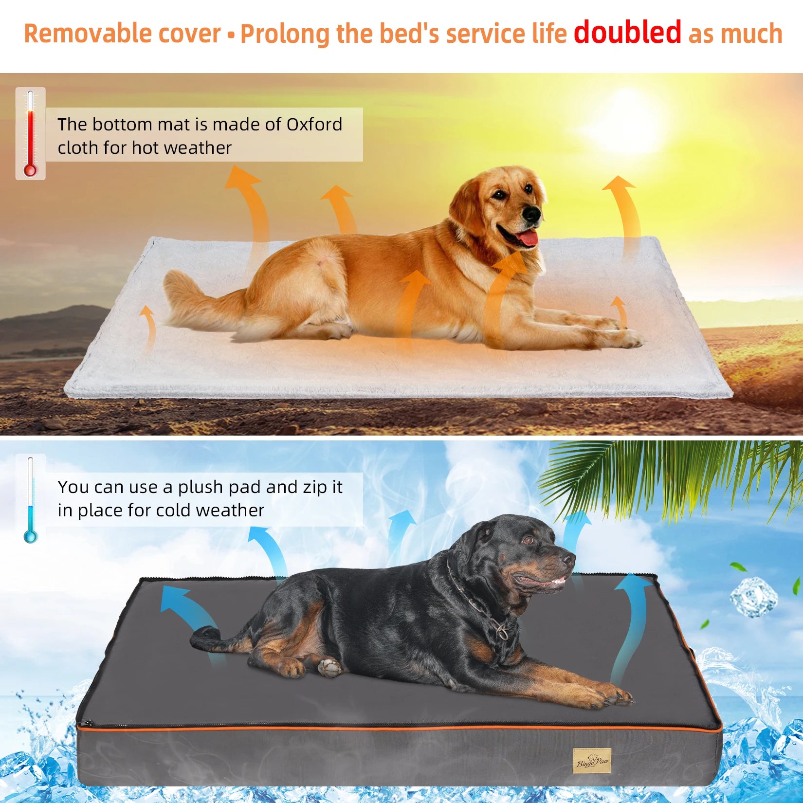 Large Orthopedic Foam Dog Bed with Washable Cover