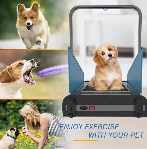 Folding Dog Treadmill for Small & Medium Dogs