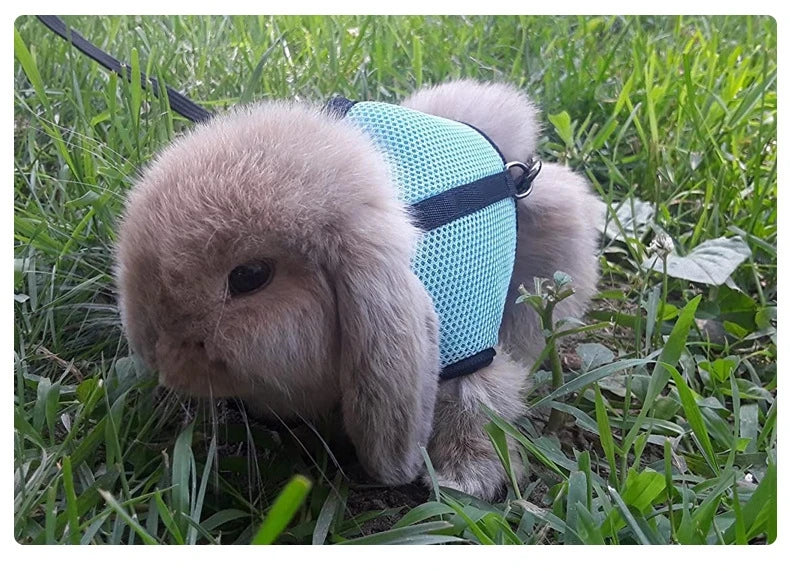 Breathable Rabbit Harness & Leash Set – Soft Vest Carrier with Adjustable Fit