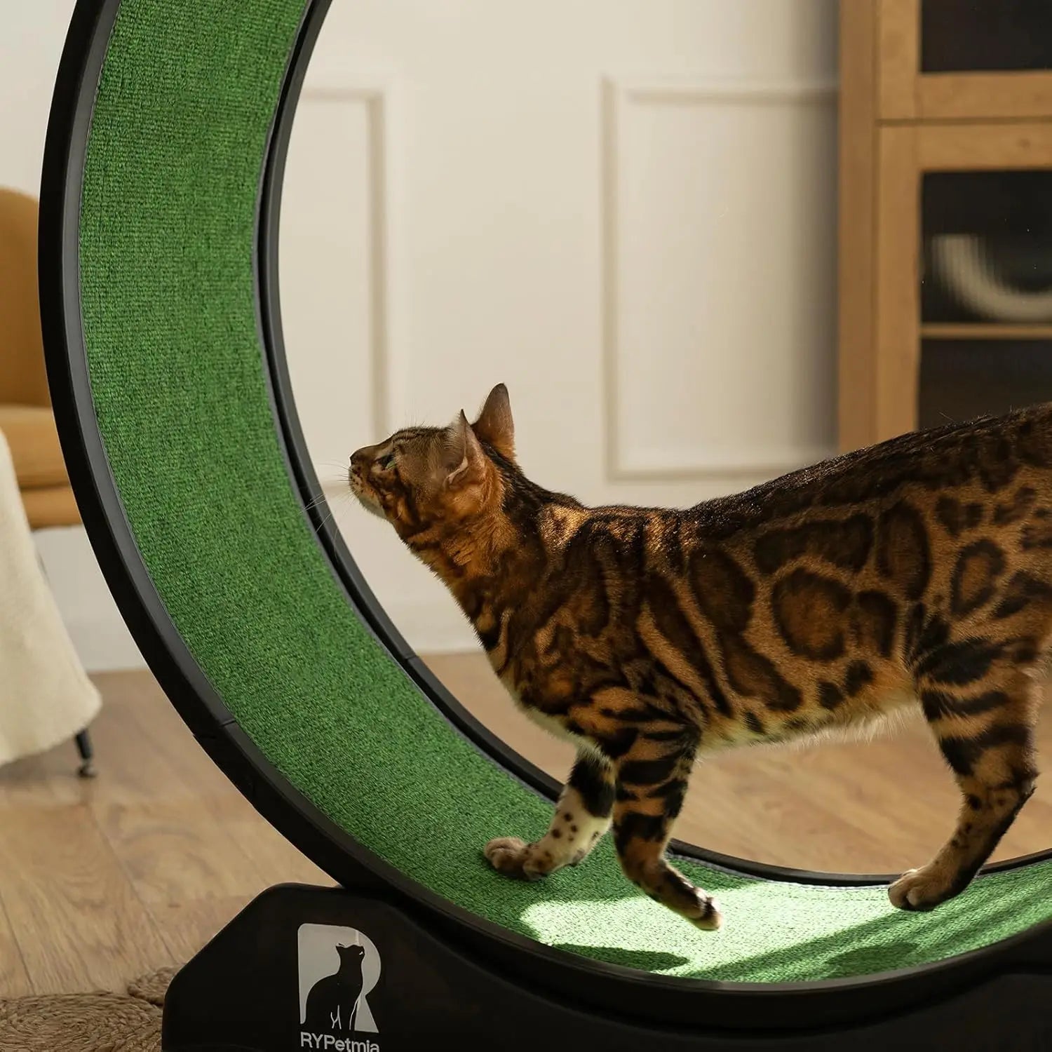 Cat Exercise Running Wheel with Carpeted Track