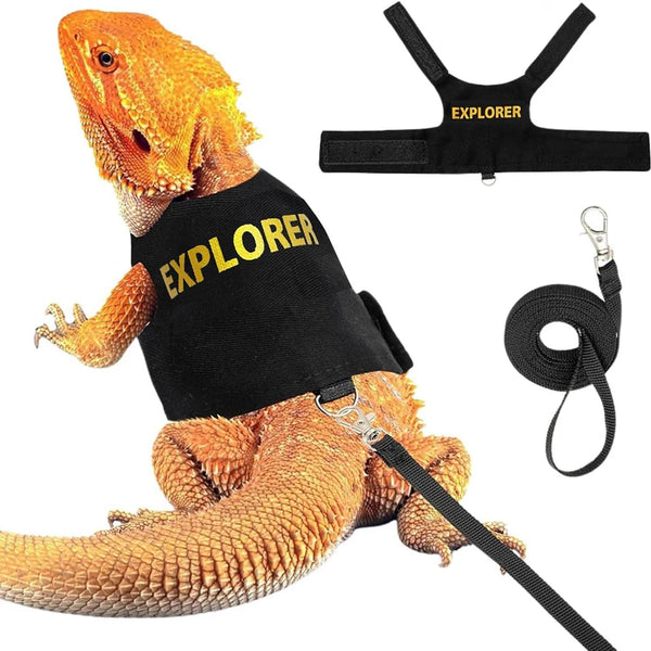 Reptile Harness with Dragon Wings – Soft Padded Leash Vest for Small Pets