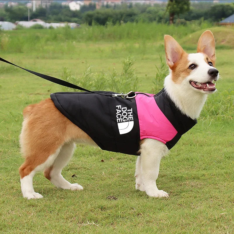 Waterproof Padded Dog Coat with Zipper