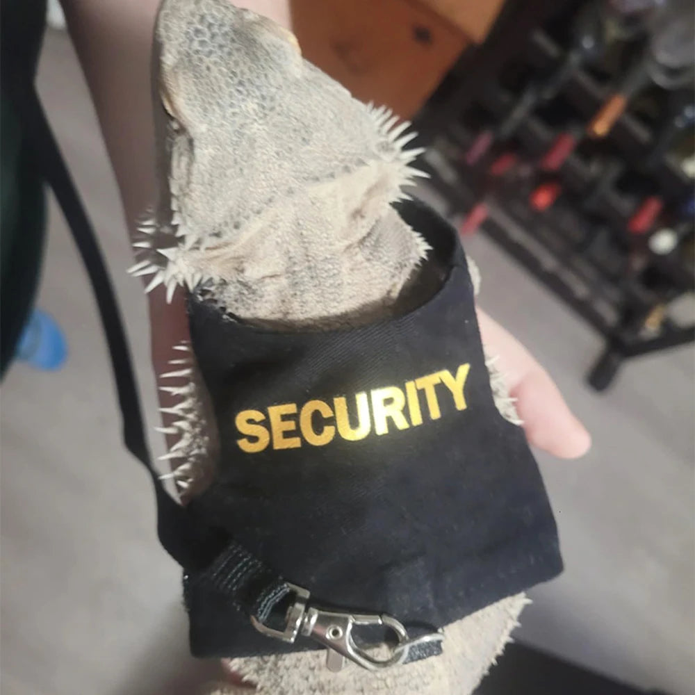 Reptile Harness with Dragon Wings – Soft Padded Leash Vest for Small Pets