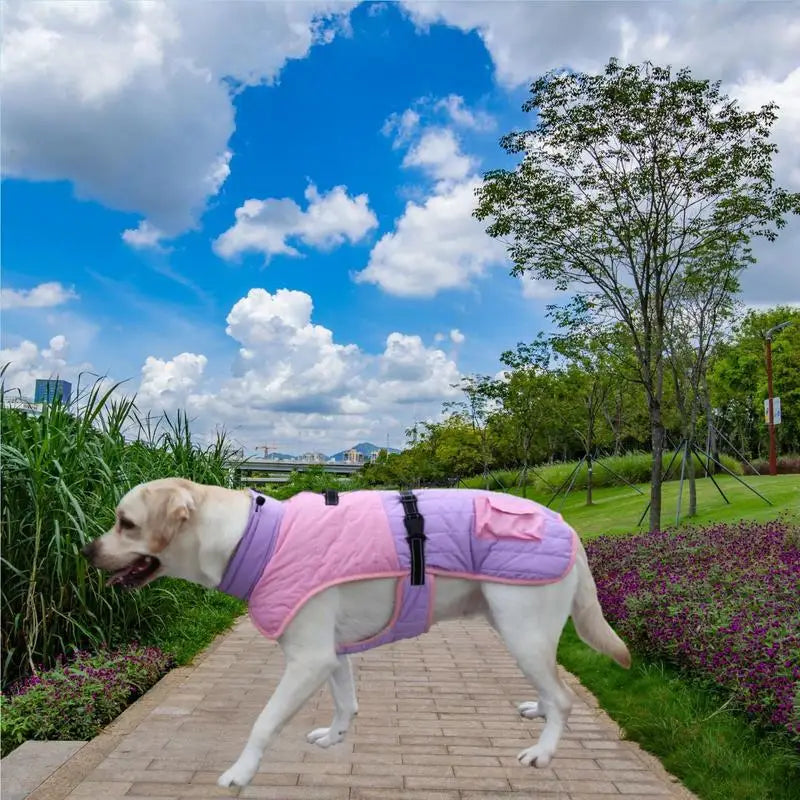 Small Dog Winter Snow Jacket with Traction