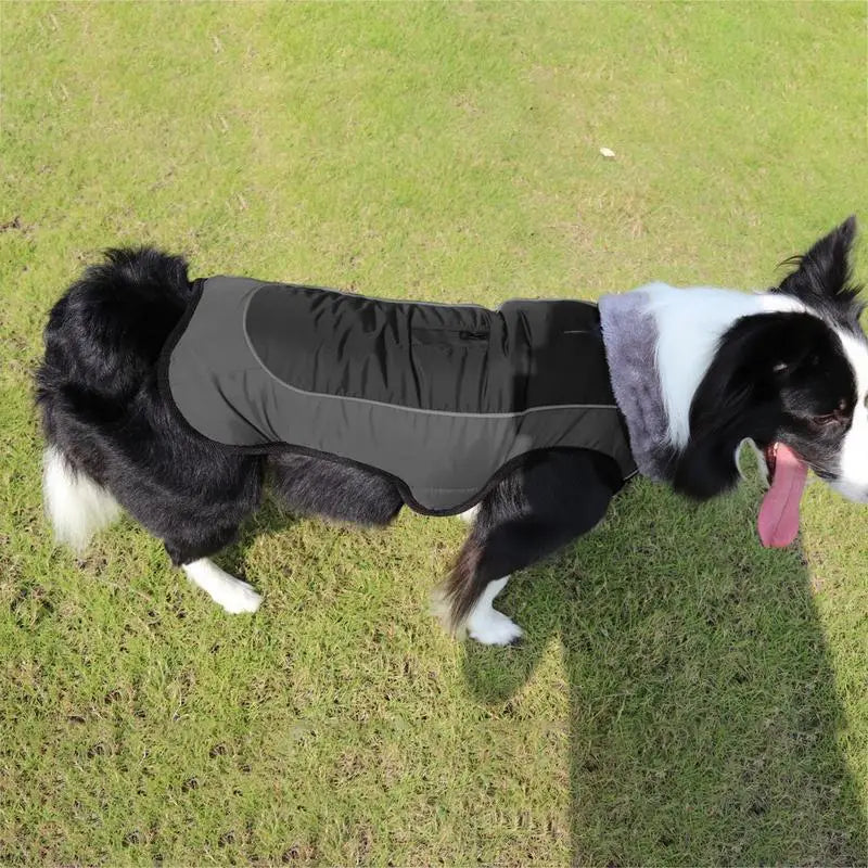 Warm Reflective Snow Jacket for Large Dogs