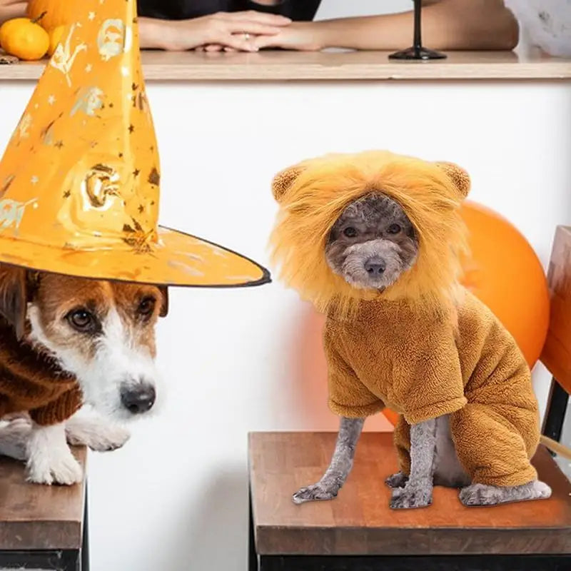 Cute Lion & Tiger Cartoon Hoodie Pet Costume