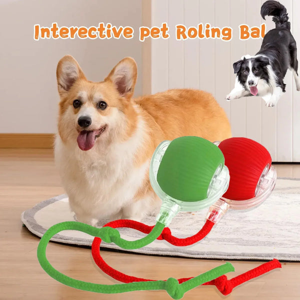 2025 Electric Automatic Rolling Dog Ball Toy