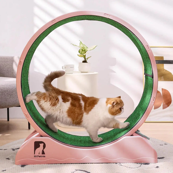 Cat Exercise Running Wheel with Carpeted Track