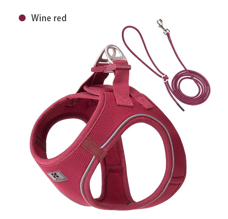 Adjustable Reflective Dog Harness & Leash Set – For Small to Medium Pets