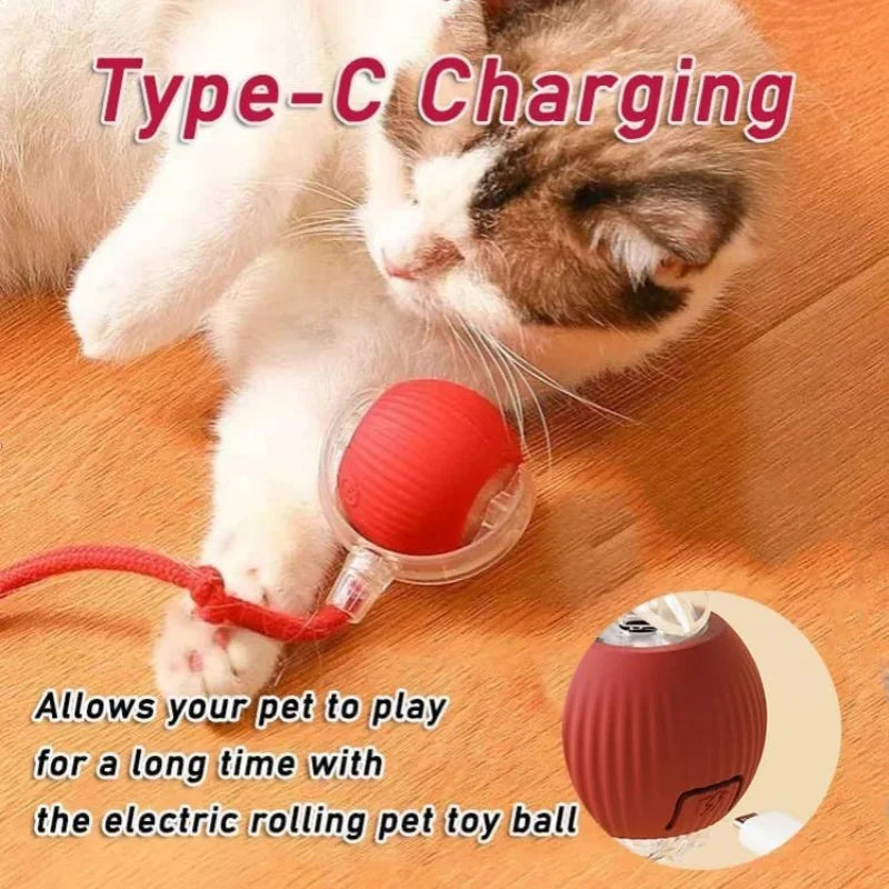 2025 Electric Automatic Rolling Dog Ball Toy