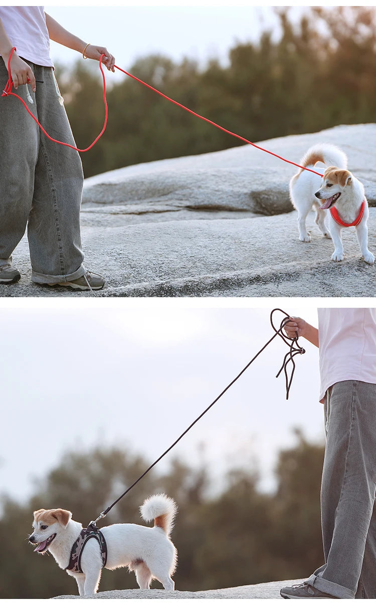Adjustable Reflective Dog Harness & Leash Set – For Small to Medium Pets