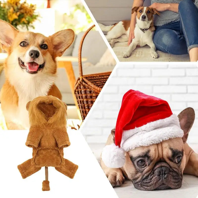 Cute Lion & Tiger Cartoon Hoodie Pet Costume