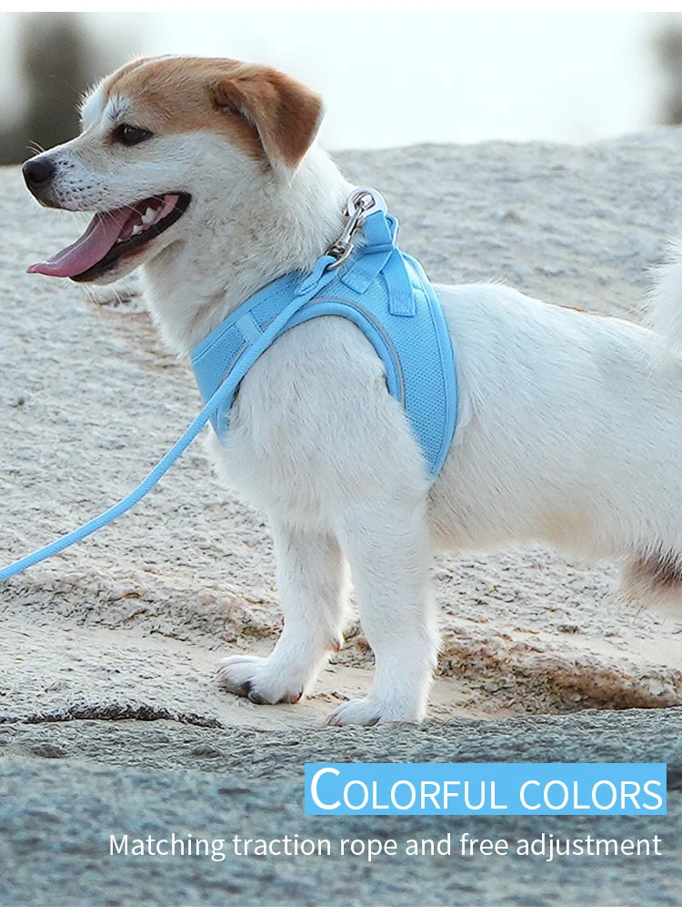 Adjustable Reflective Dog Harness & Leash Set – For Small to Medium Pets