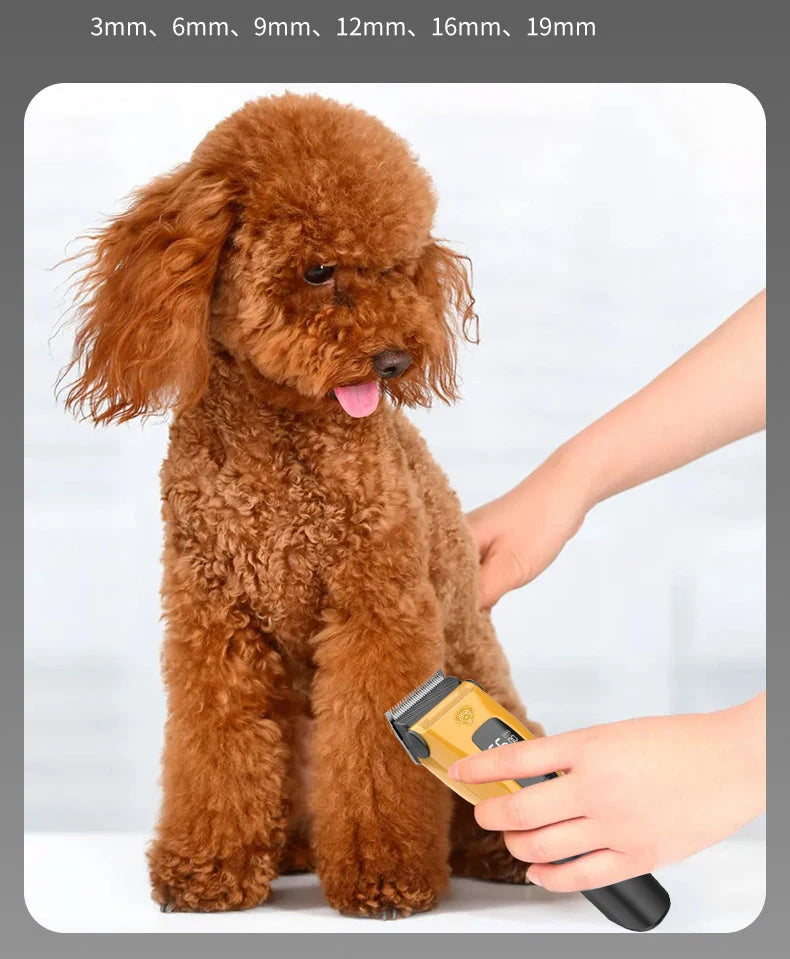 Professional Type-C Rechargeable Pet Hair Trimmer – For Dogs & Cat
