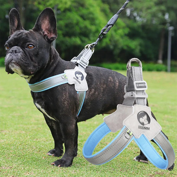 Adjustable Reflective Mesh Dog Harness – For Small & Large Dogs and Cats