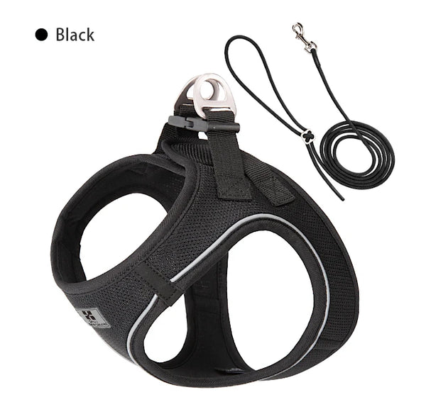 Adjustable Reflective Dog Harness & Leash Set – For Small to Medium Pets