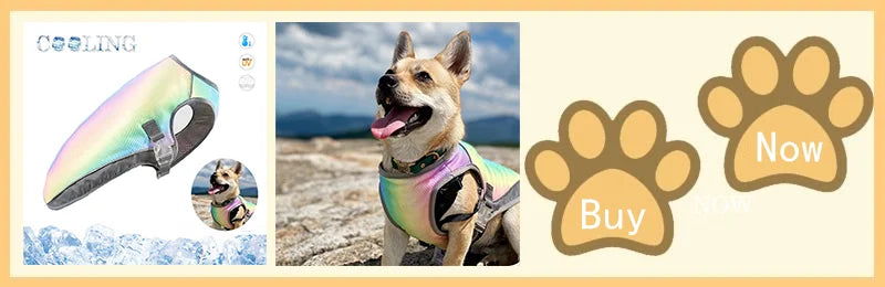 Reflective Dog Cooling Vest with Quick-Release – Summer Jacket for All Sizes