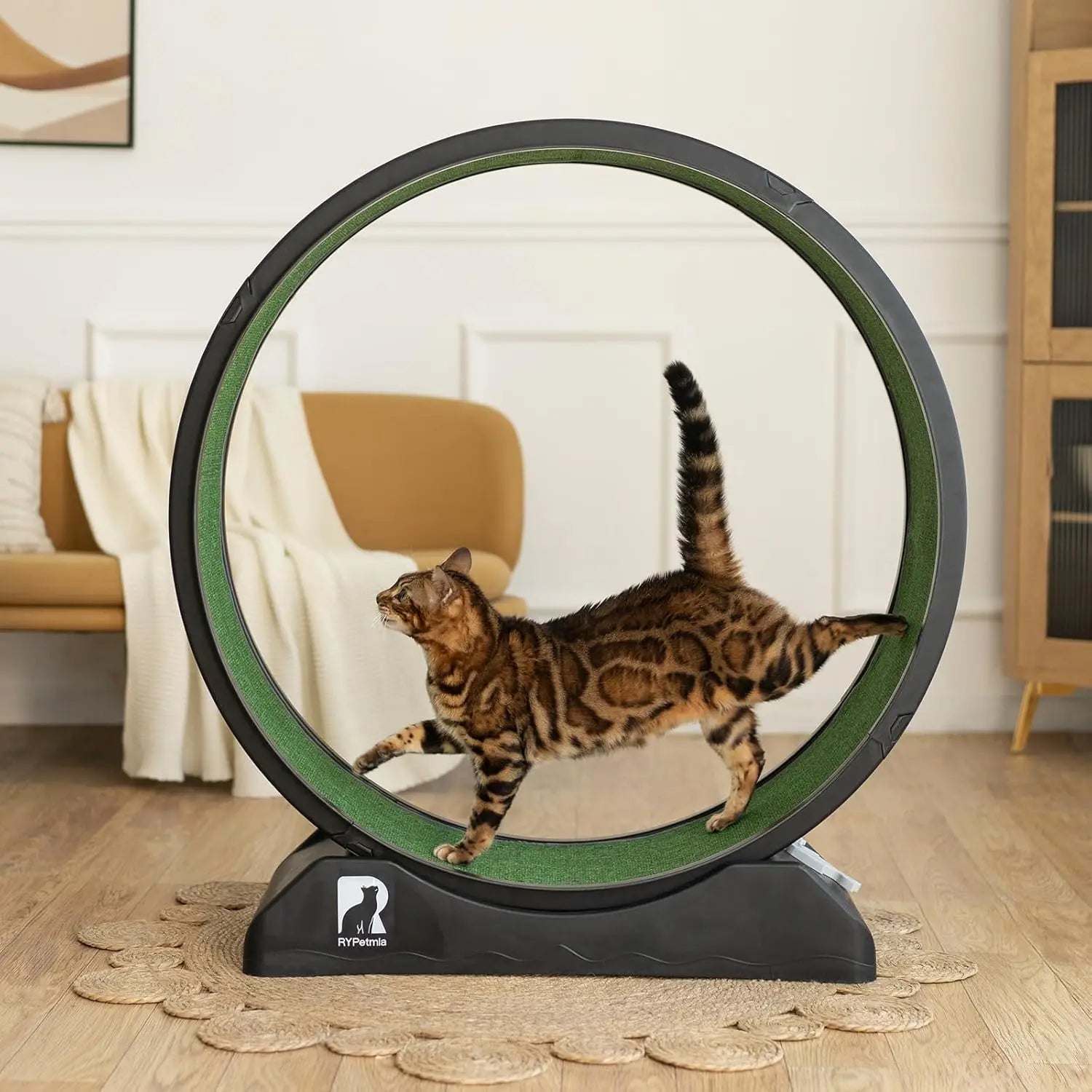 Cat Exercise Running Wheel with Carpeted Track