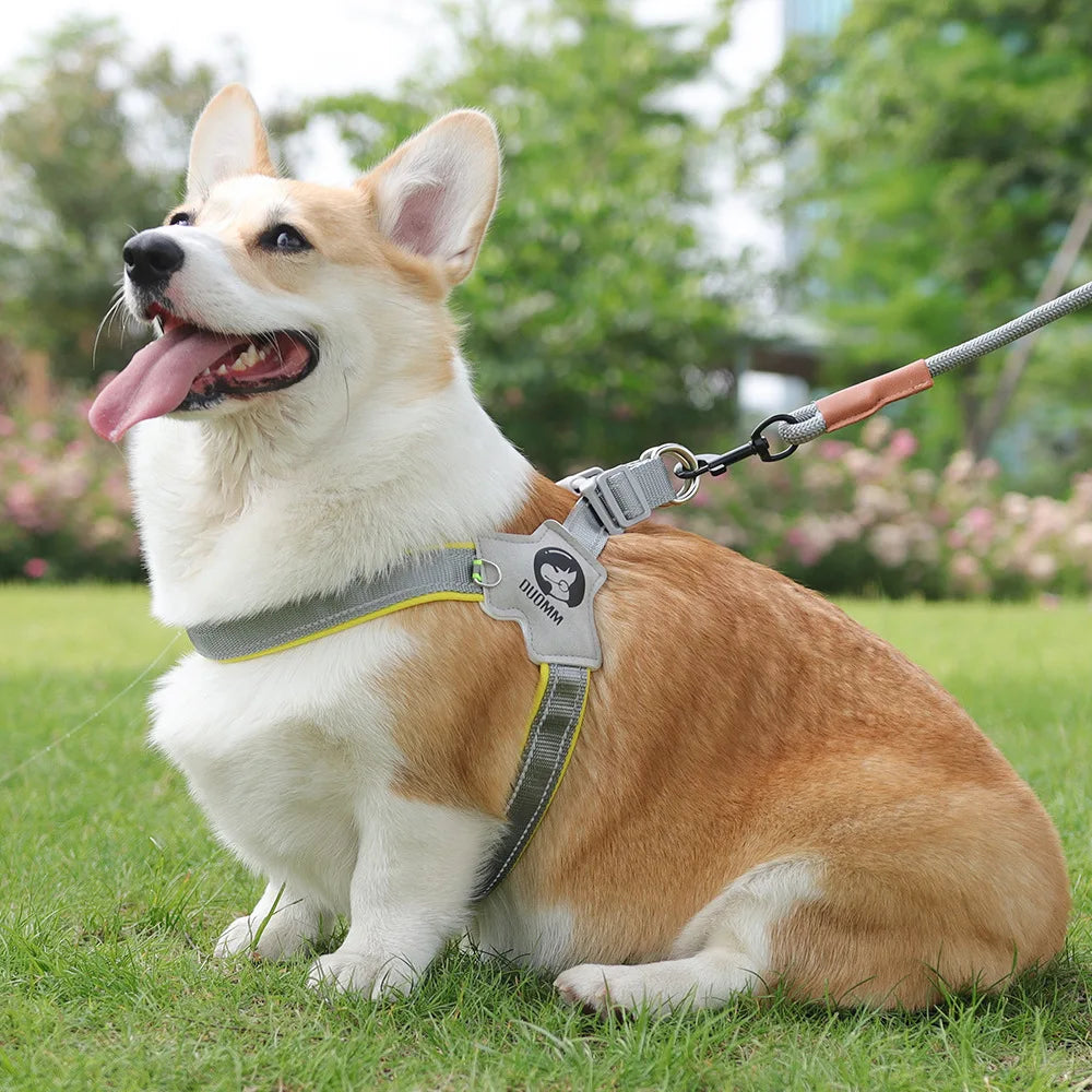 Adjustable Reflective Mesh Dog Harness – For Small & Large Dogs and Cats
