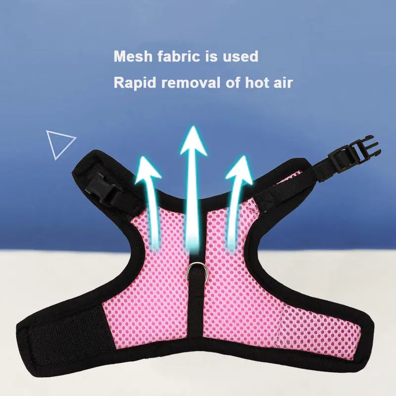 Breathable Rabbit Harness & Leash Set – Soft Vest Carrier with Adjustable Fit
