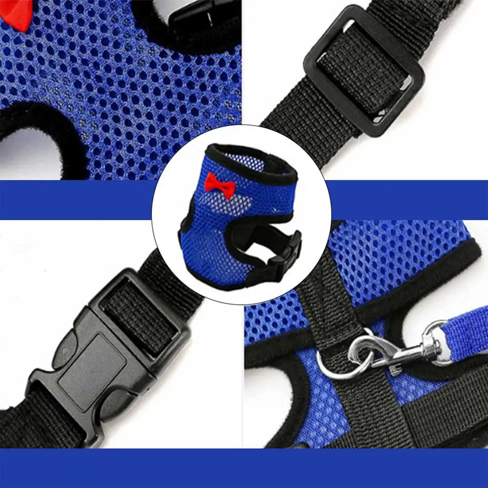 Adjustable Chicken Harness Vest with 3.6ft Training Rope